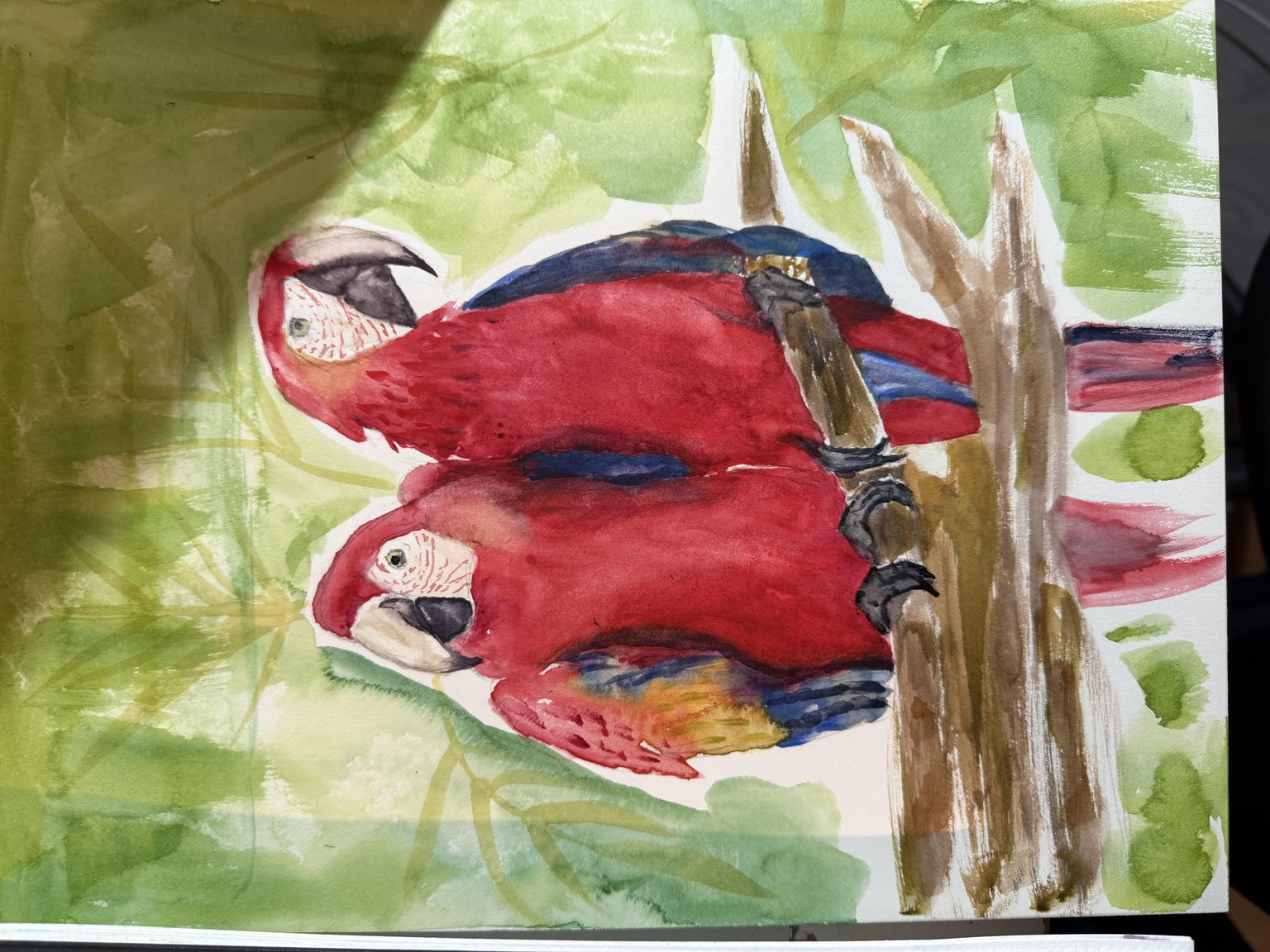 7 day challenge - image 13 - student project
