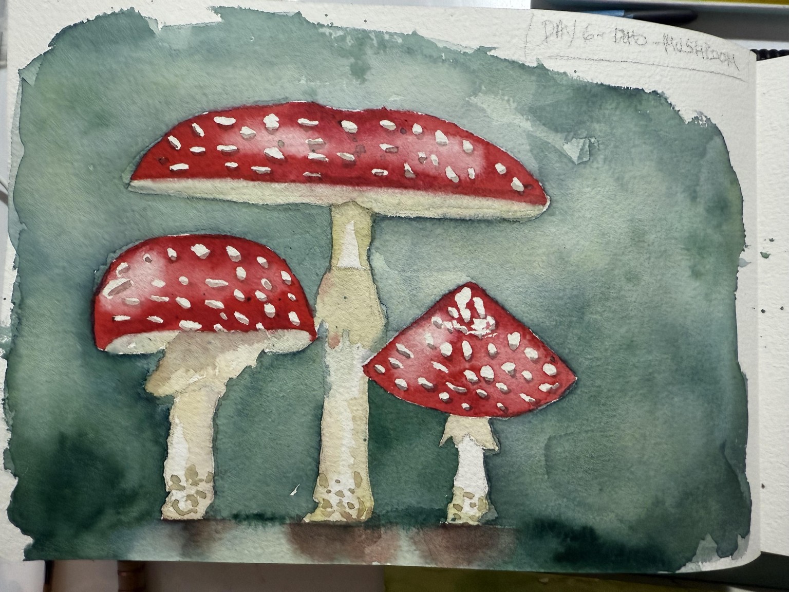 7 day challenge - image 11 - student project