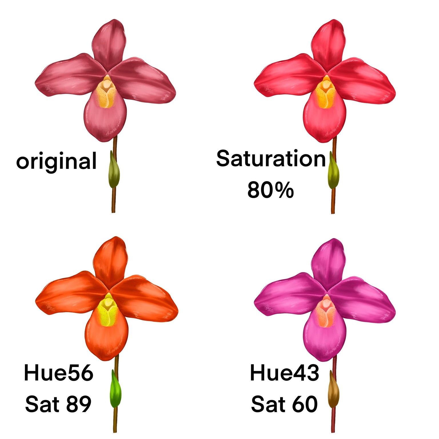 My first Orchid Plus updates with Vinita's advice - image 1 - student project