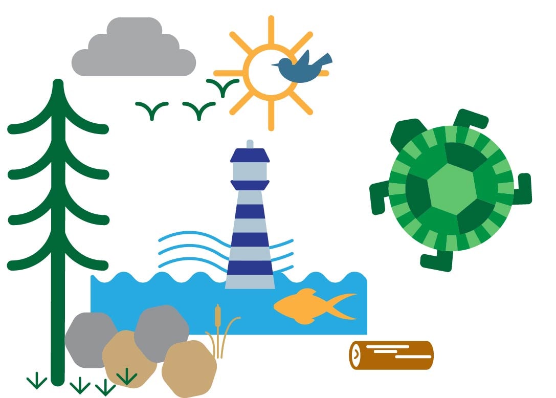 Seashore - image 1 - student project