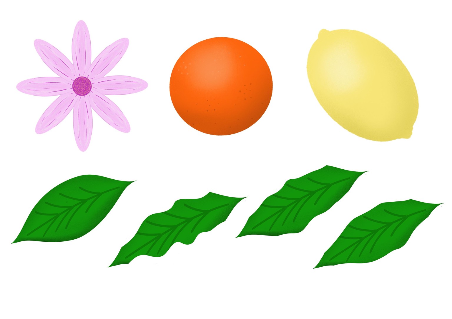 Digital Botanicals - image 2 - student project