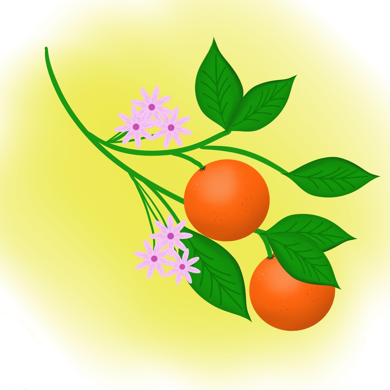 Digital Botanicals - image 1 - student project