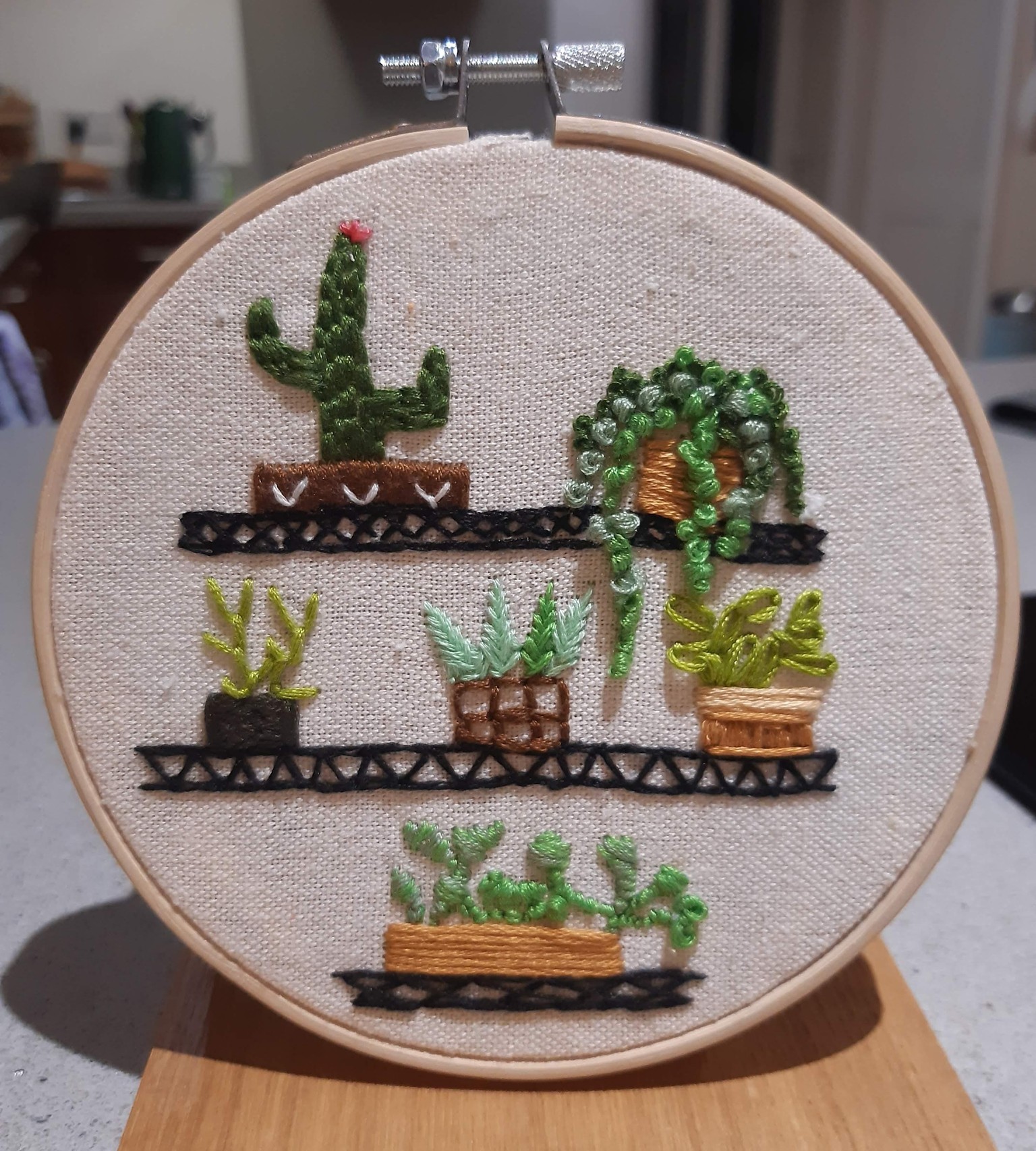 Plants on a shelf - image 1 - student project