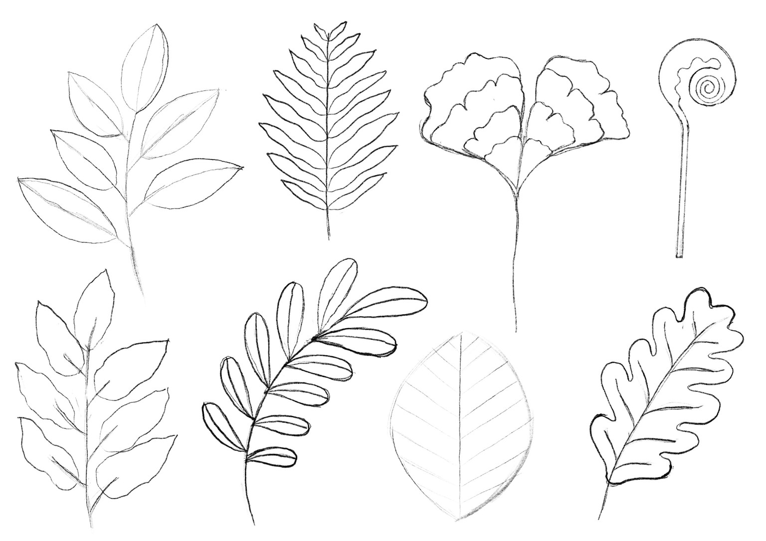 Botanical Flowers - image 4 - student project