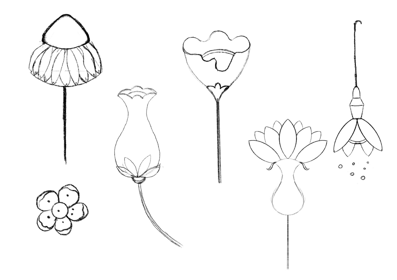 Botanical Flowers - image 3 - student project