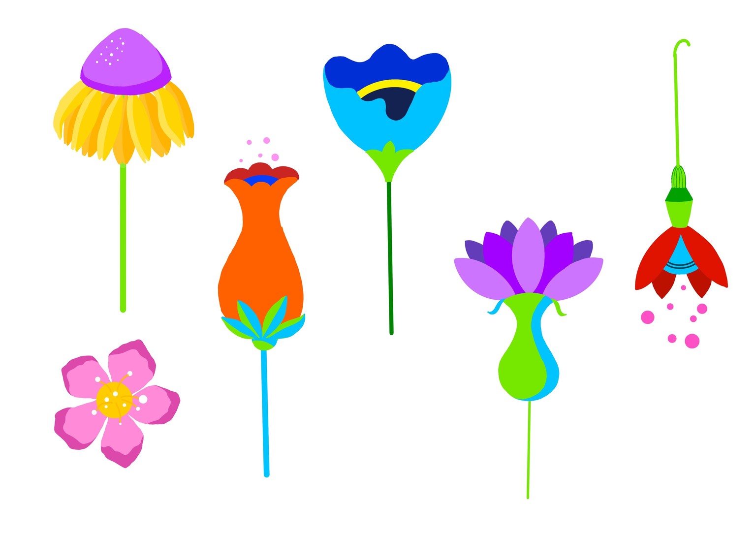 Botanical Flowers - image 7 - student project
