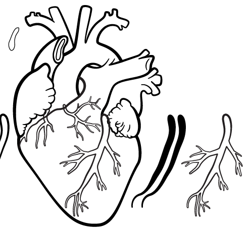 my heart on my hand - image 6 - student project