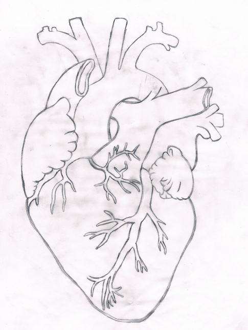 my heart on my hand - image 3 - student project
