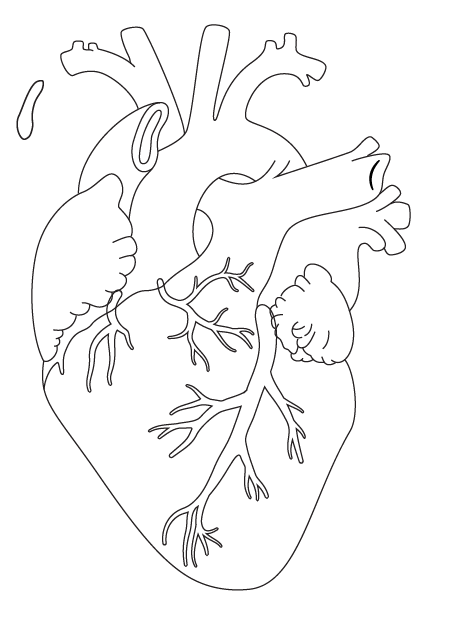 my heart on my hand - image 4 - student project