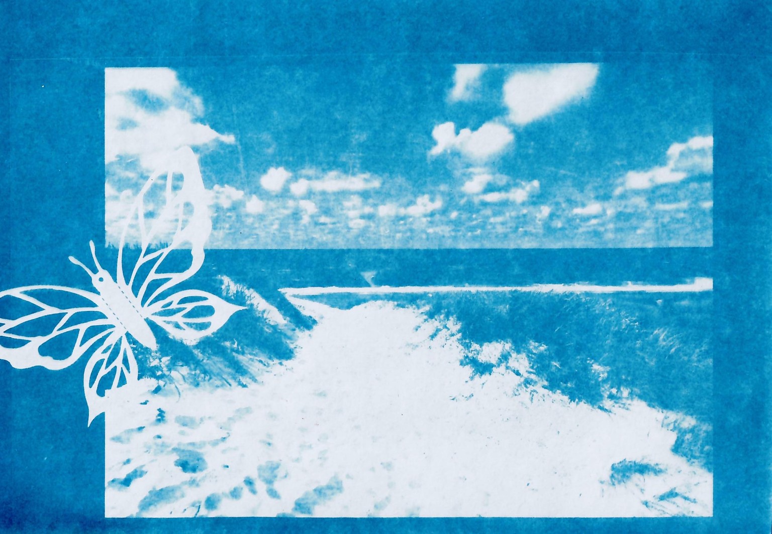 Sonnendrucke aus digitalen Negativen - image 2 - student project