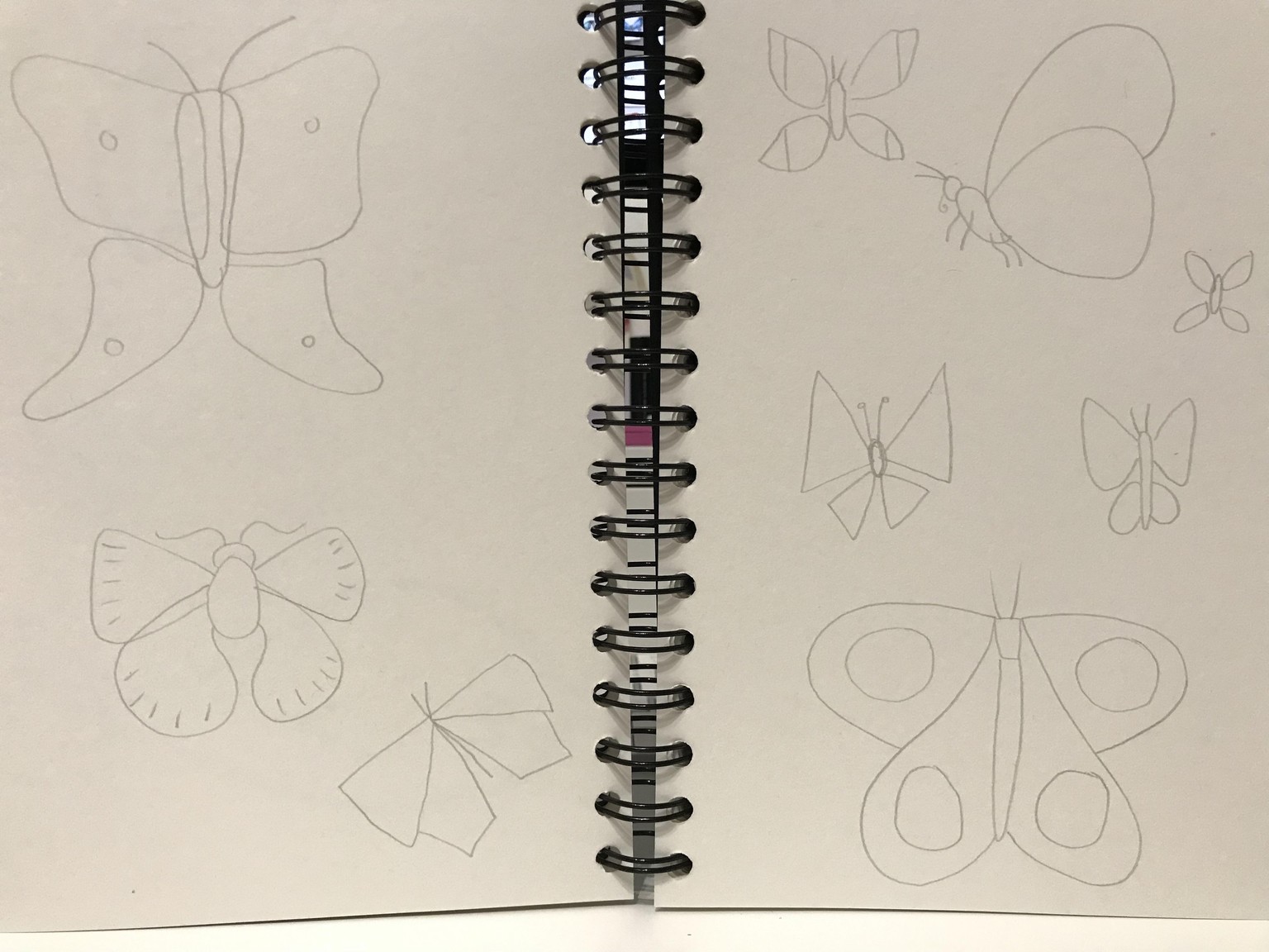 Drawing Butterflies in Illustrator - image 1 - student project