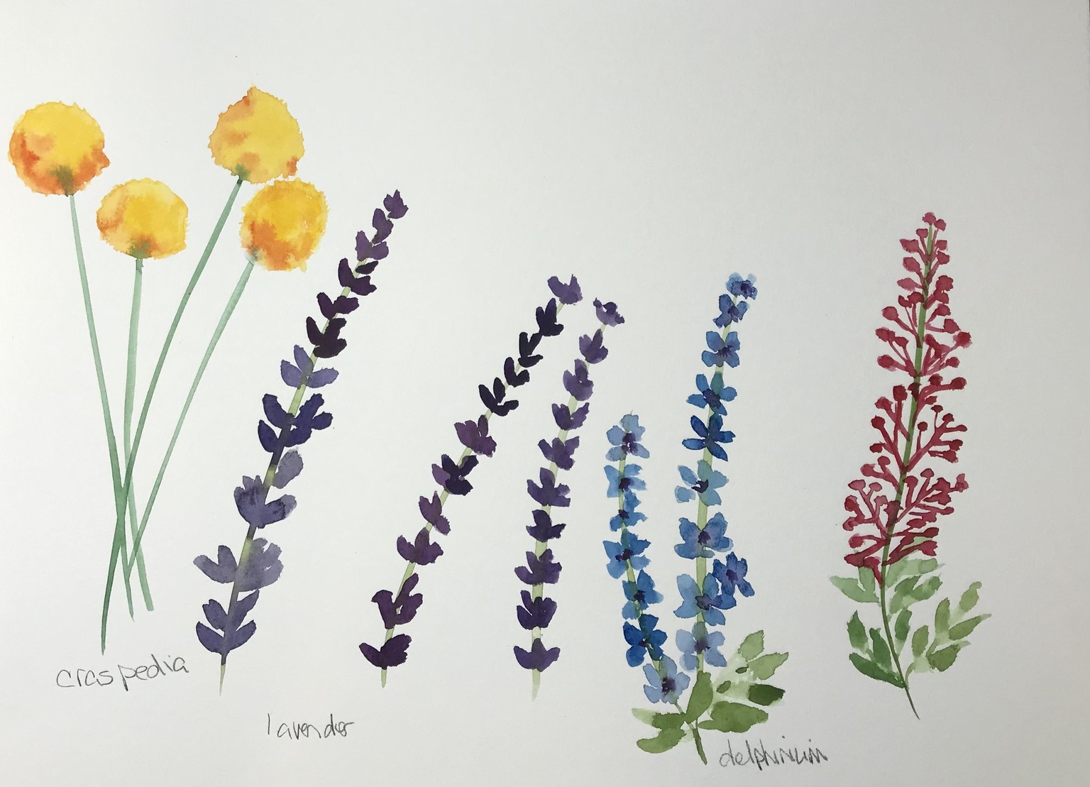 Filler Florals and Leaves - image 2 - student project
