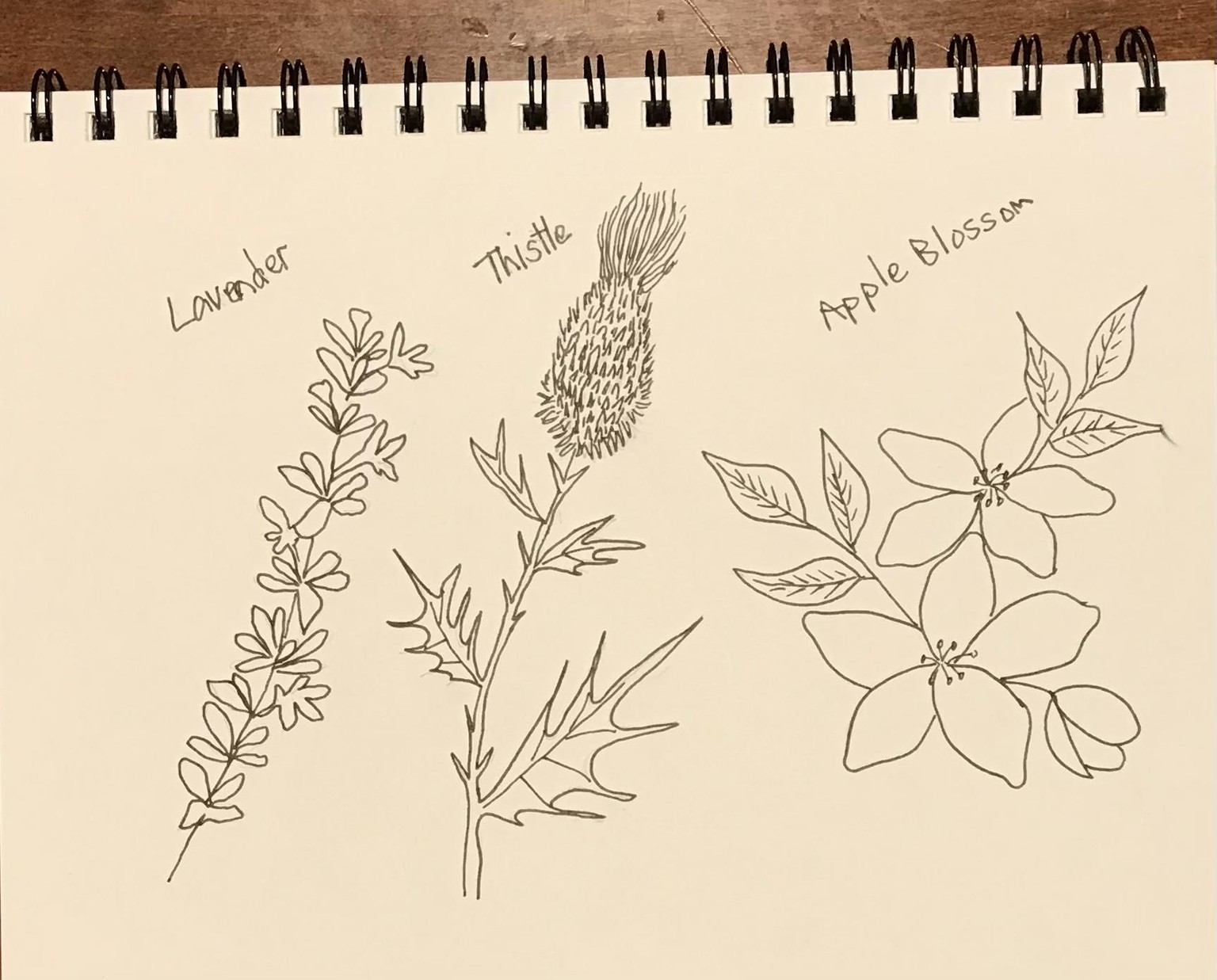 Gouache florals - image 1 - student project