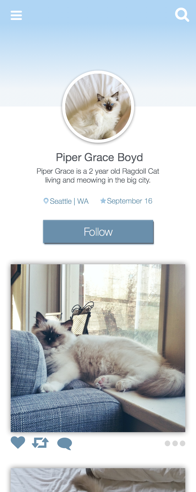 User Profile - Cat  - image 4 - student project