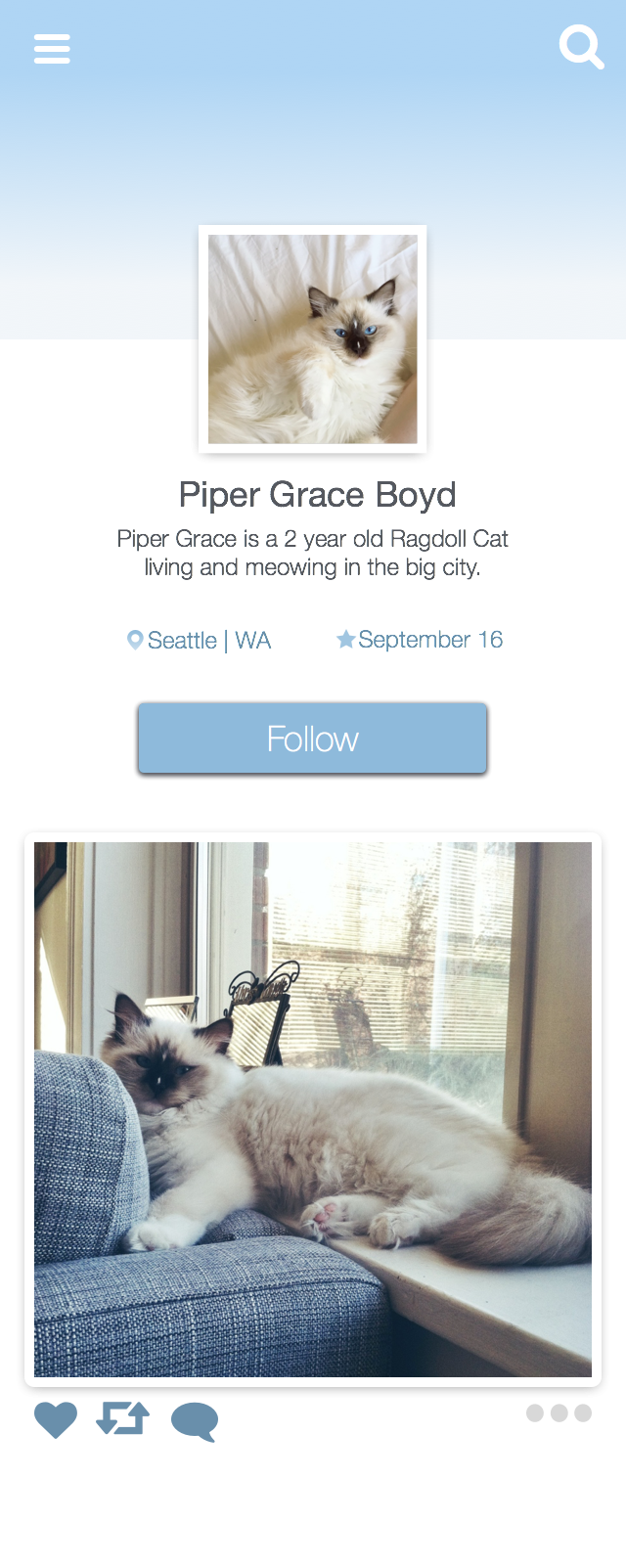 User Profile - Cat  - image 2 - student project