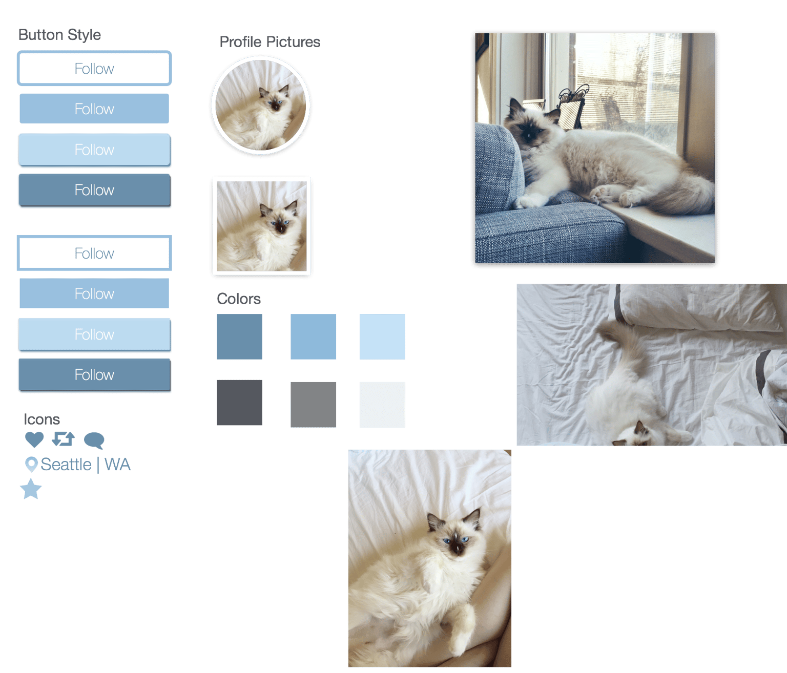 User Profile - Cat  - image 1 - student project
