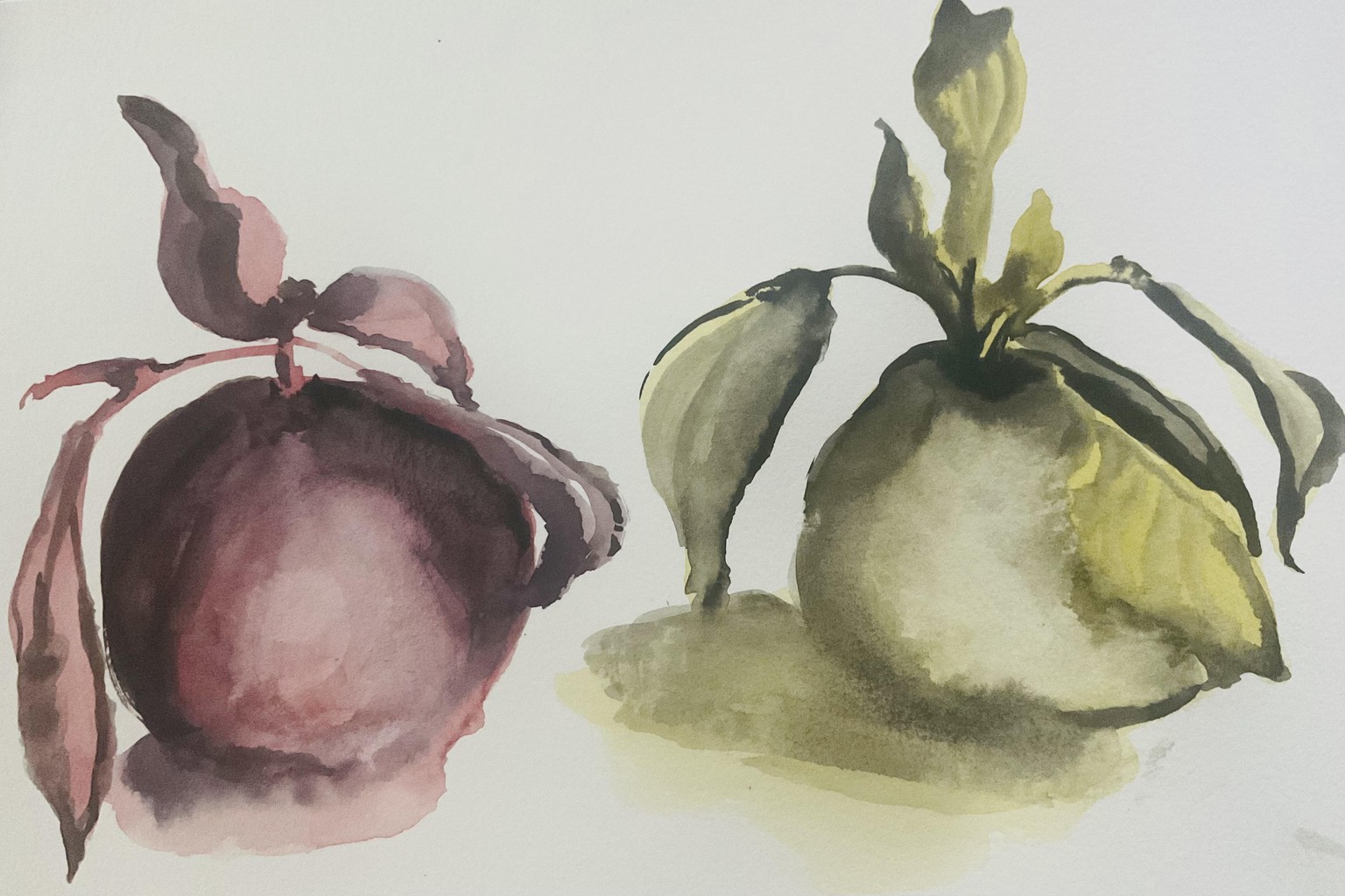 10 Minute Apples - image 1 - student project