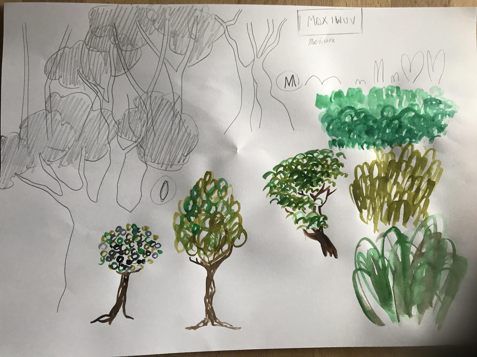 Watercolour trees - image 1 - student project
