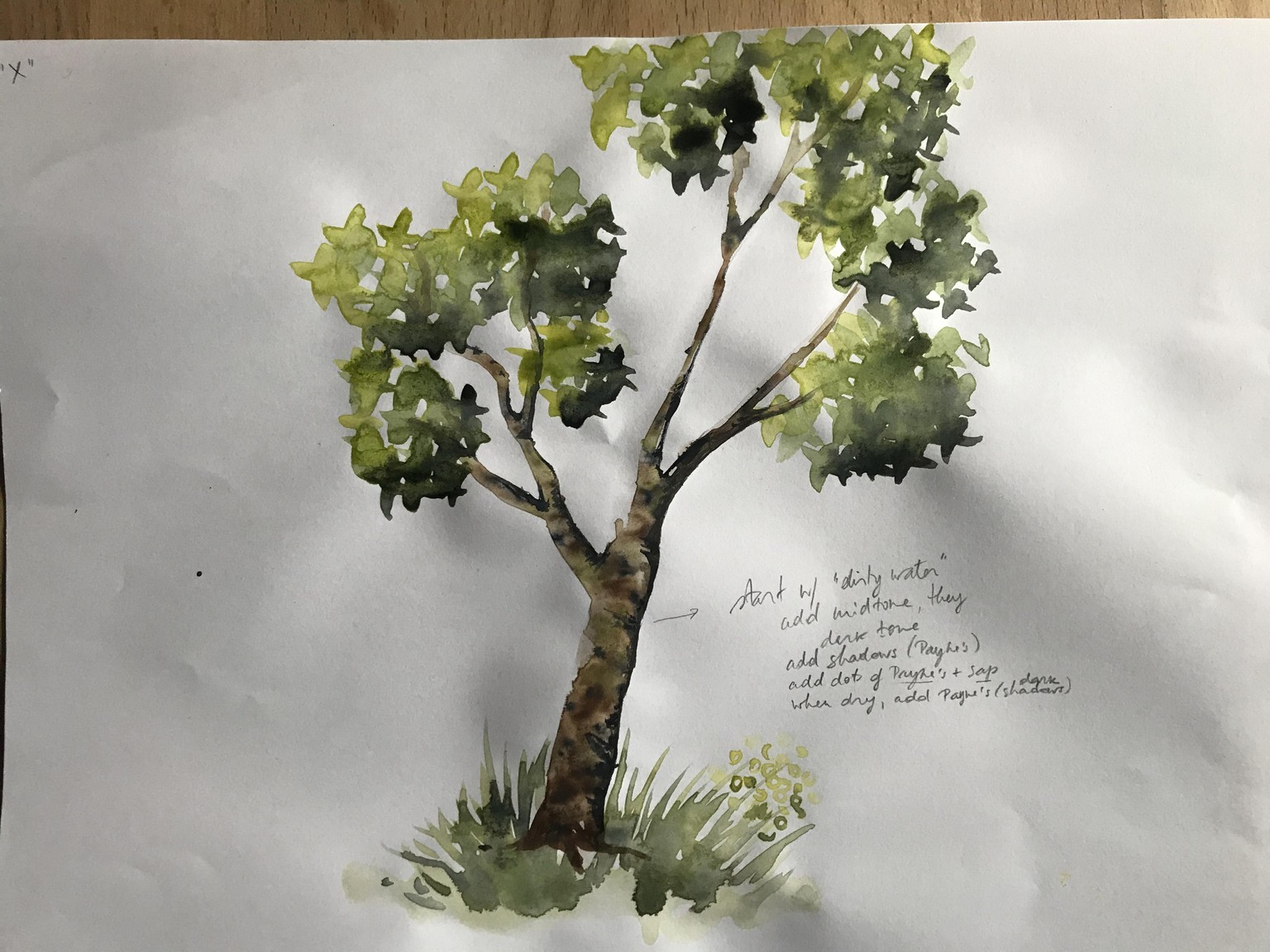 Watercolour trees - image 5 - student project