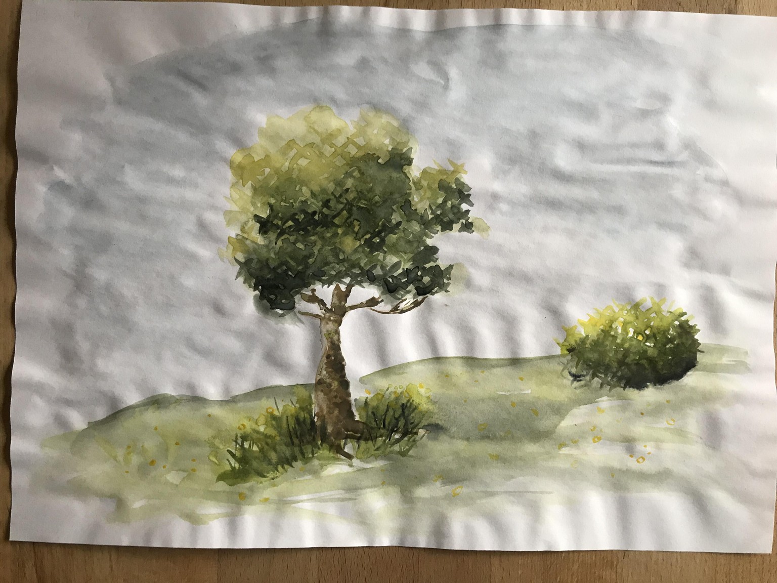 Watercolour trees - image 6 - student project