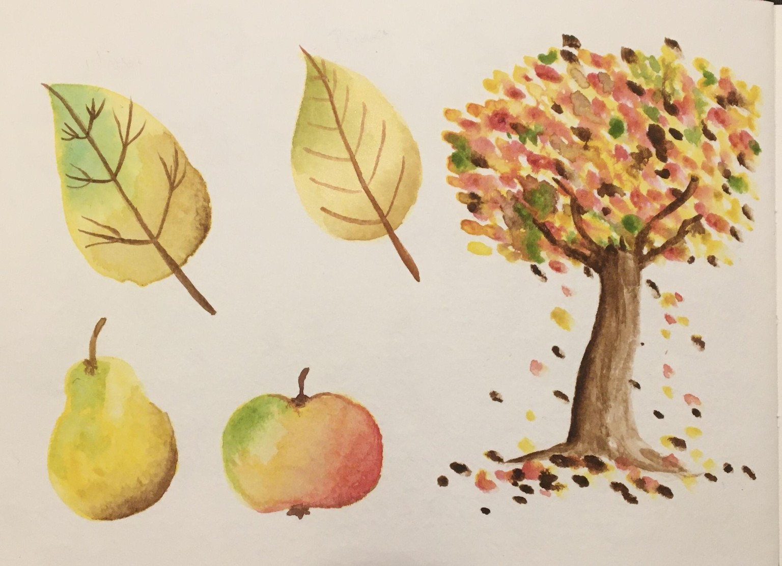 Autumn watercolour elements - image 1 - student project