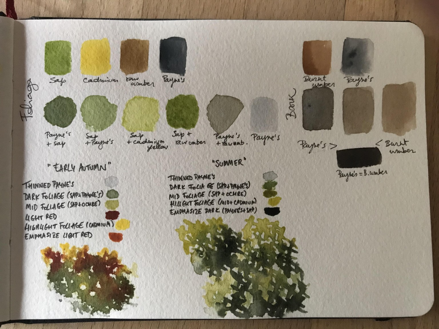 Watercolour trees - image 4 - student project