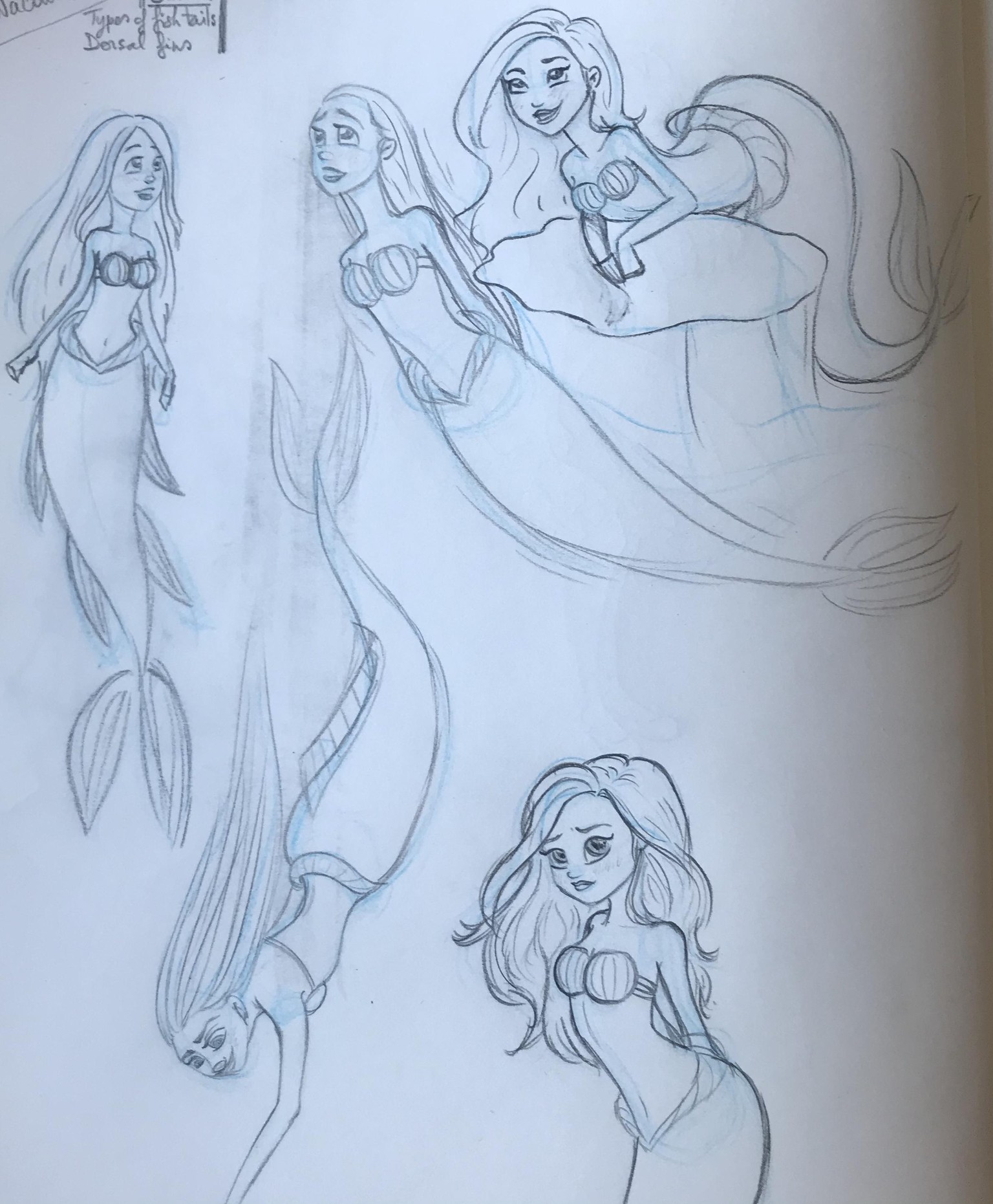 Getting ready for Mermay 2020 - image 1 - student project