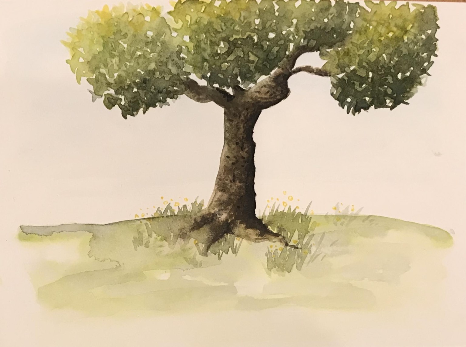 Watercolour trees - image 7 - student project
