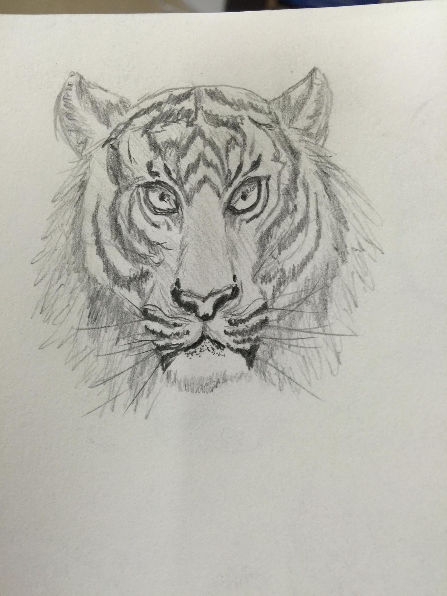 Giving drawing another chance after 35 plus yrs. - image 11 - student project
