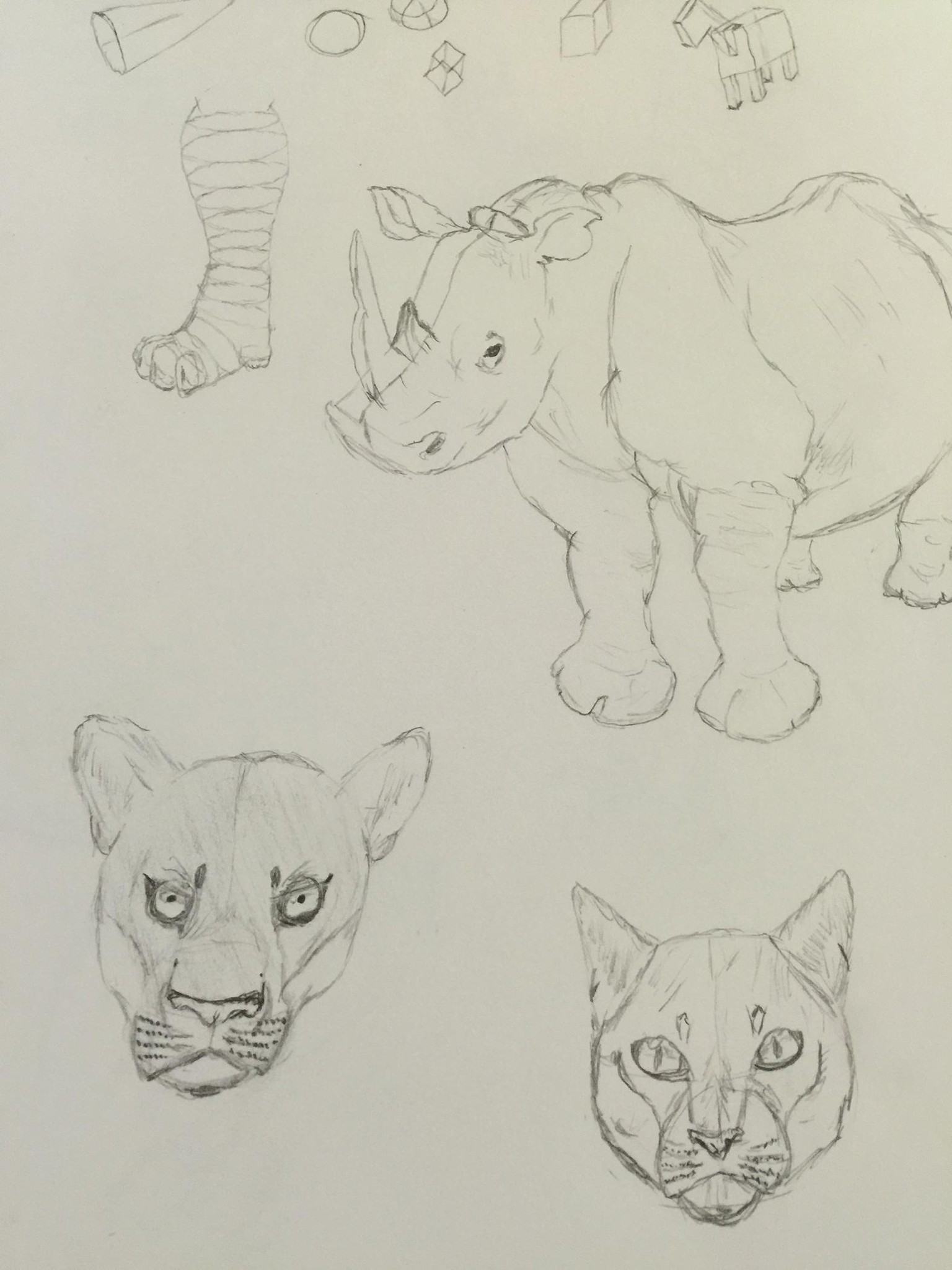 Giving drawing another chance after 35 plus yrs. - image 2 - student project