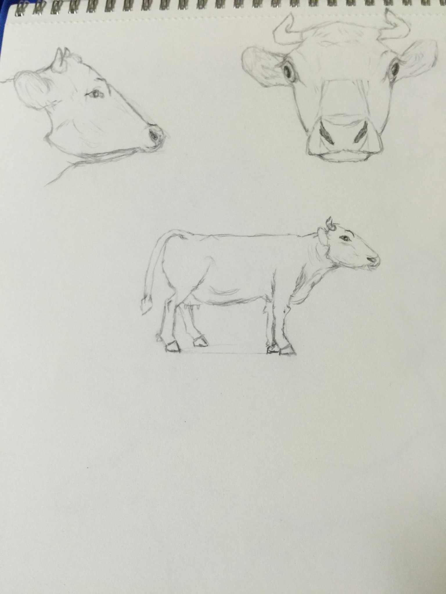 Giving drawing another chance after 35 plus yrs. - image 6 - student project