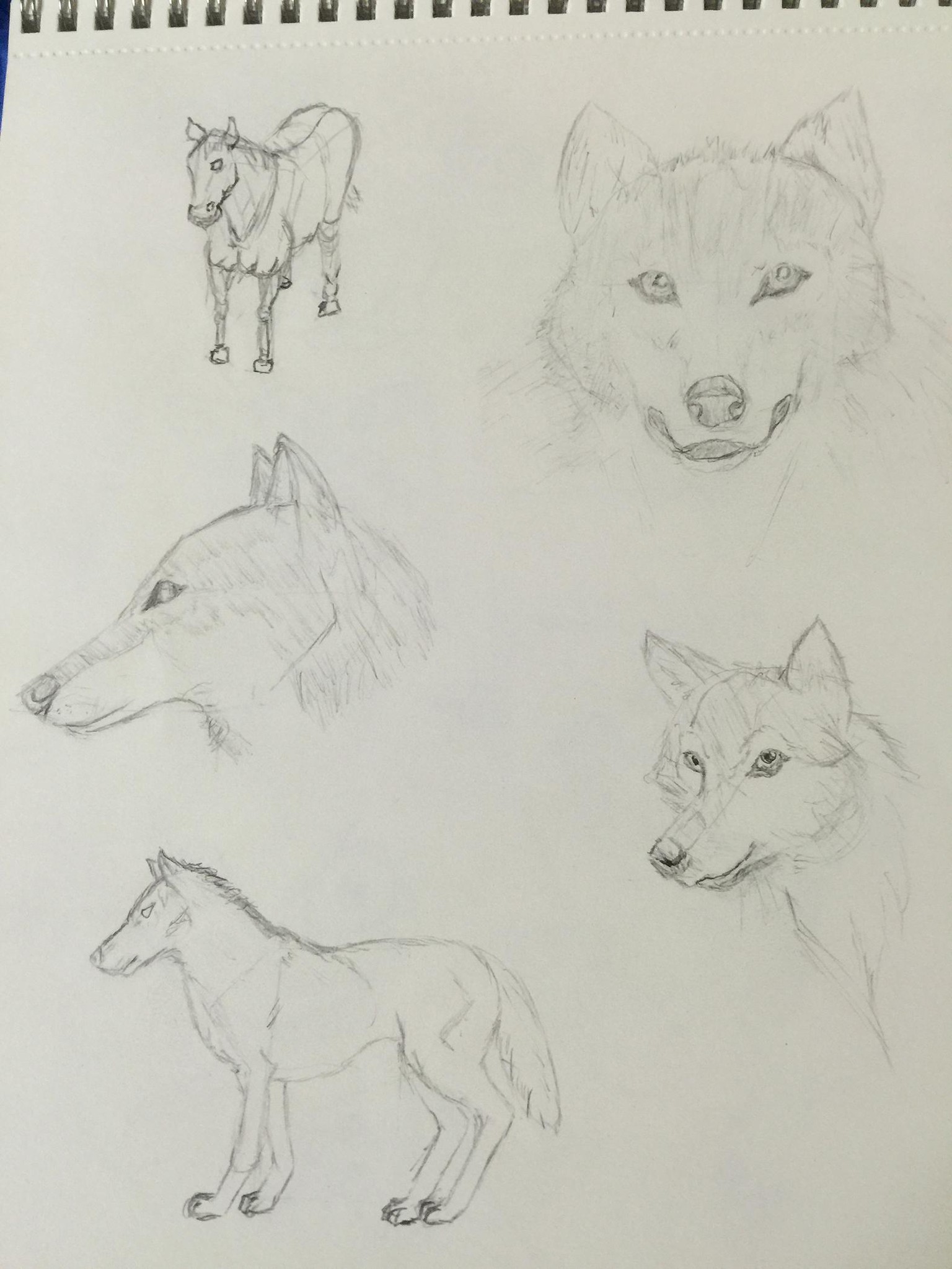 Giving drawing another chance after 35 plus yrs. - image 5 - student project