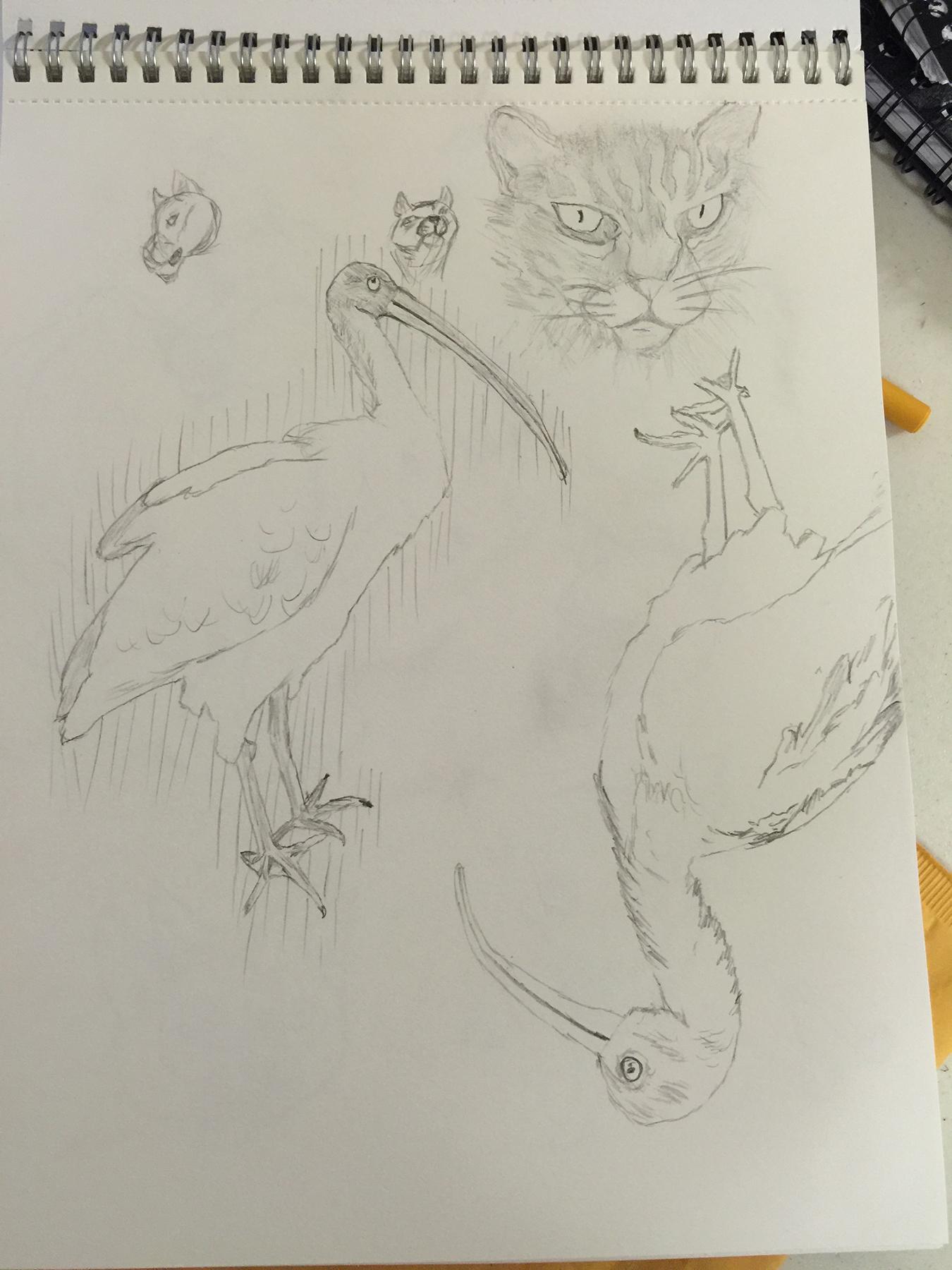 Giving drawing another chance after 35 plus yrs. - image 1 - student project