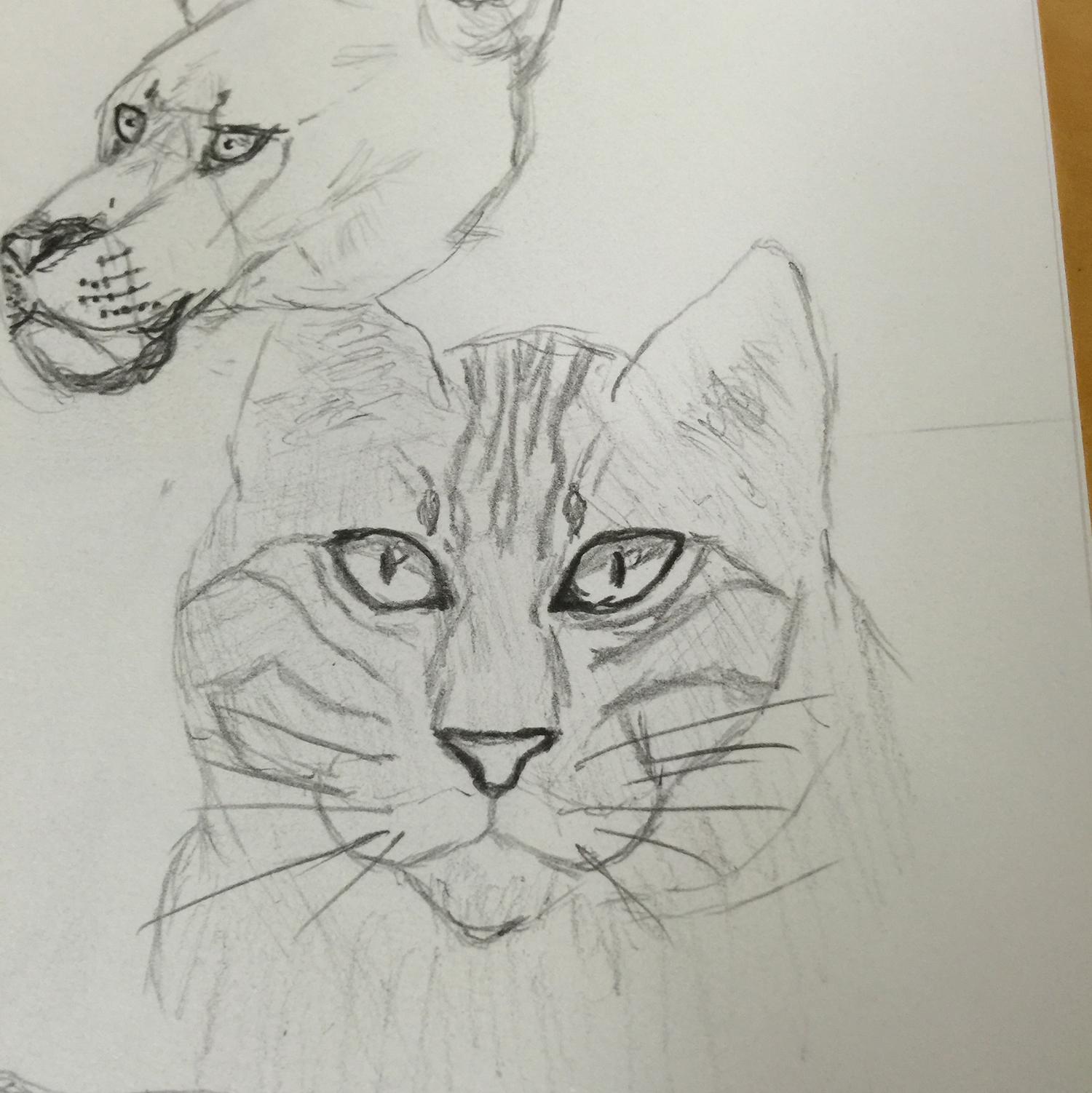 Giving drawing another chance after 35 plus yrs. - image 8 - student project