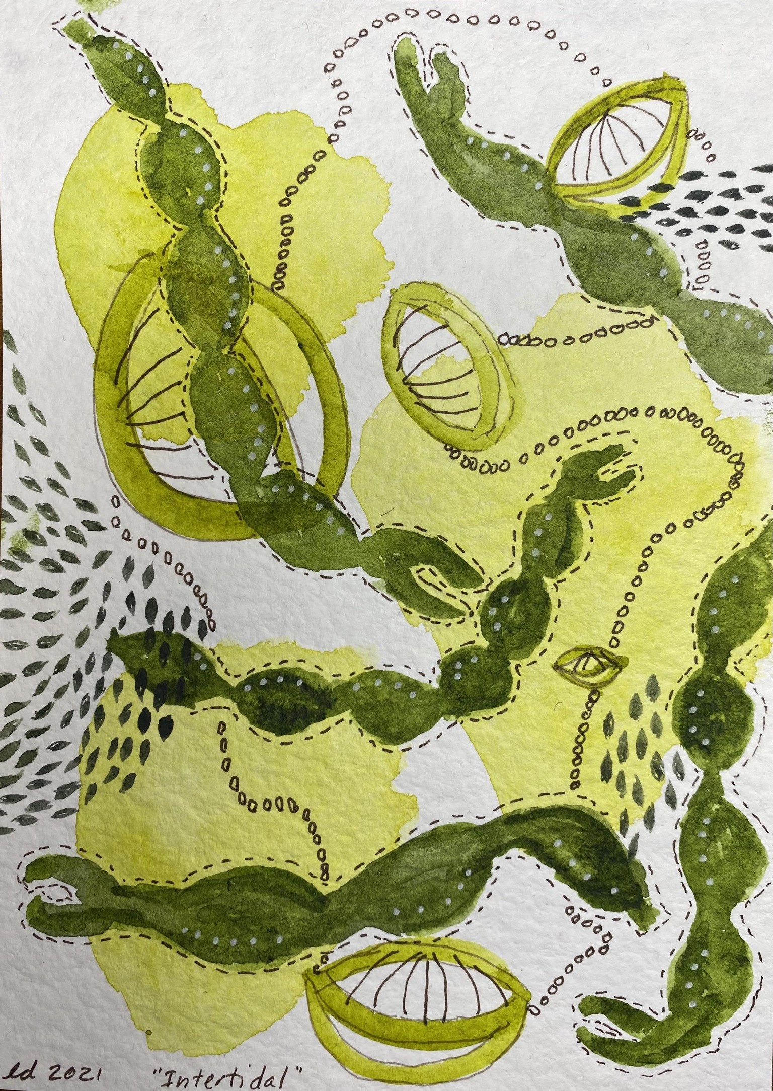 Intertidal - image 2 - student project