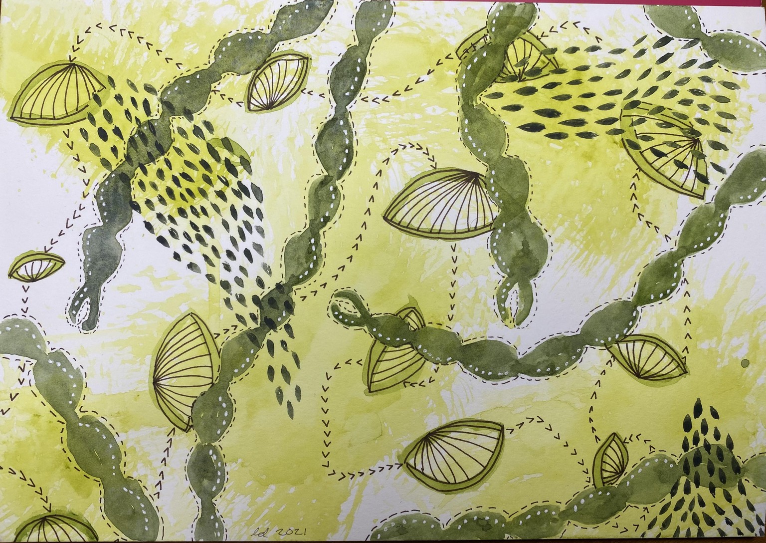 Intertidal - image 1 - student project