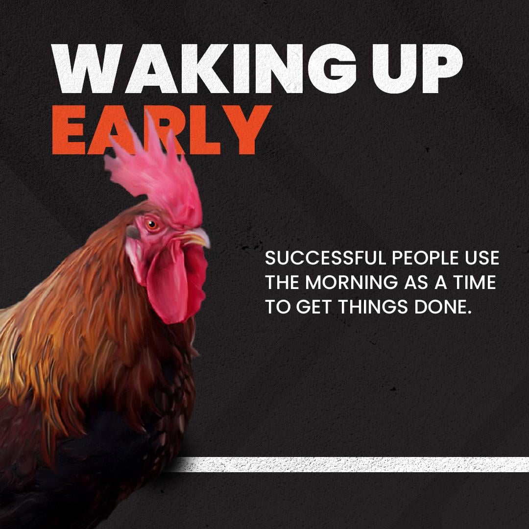 8 Habits  of Highly Successful People - image 2 - student project