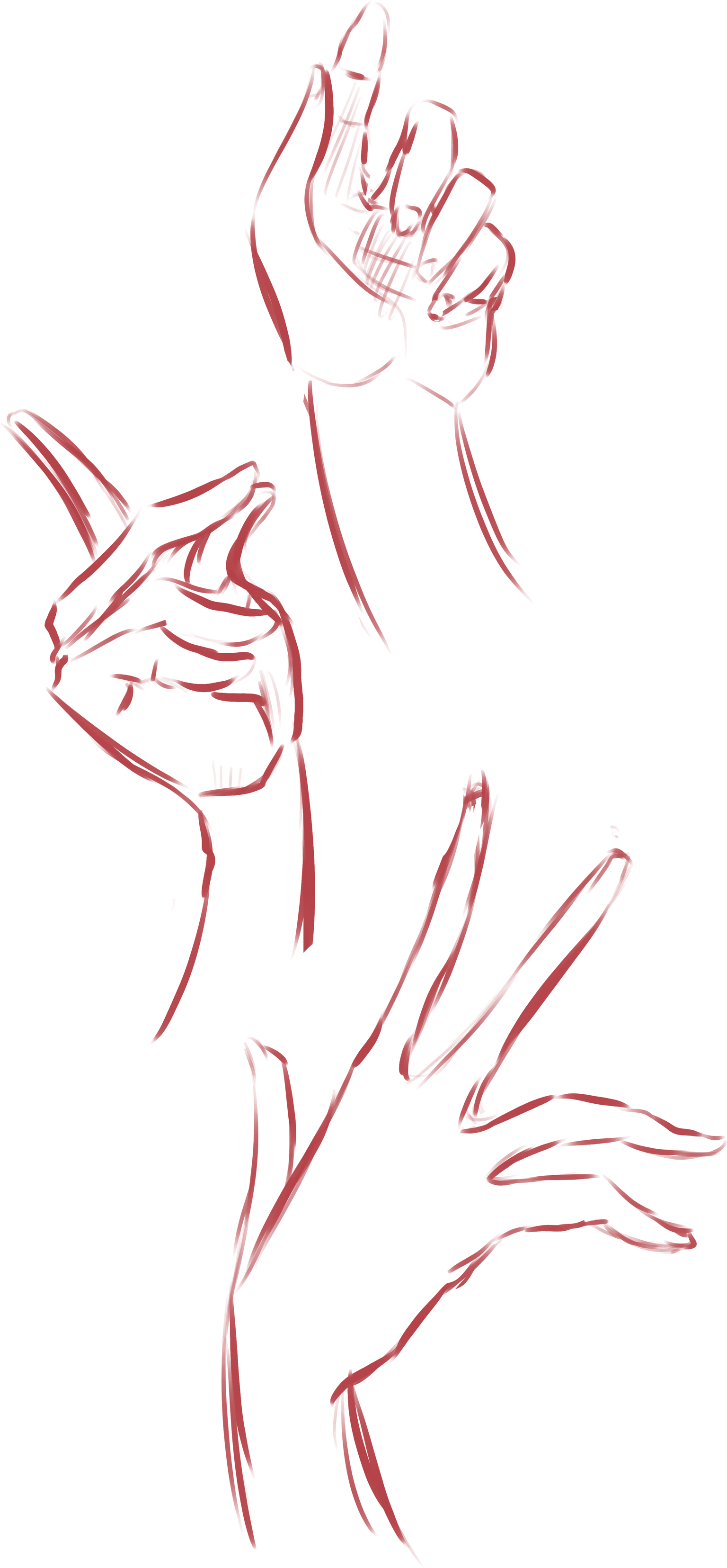 Hand Studies - image 3 - student project