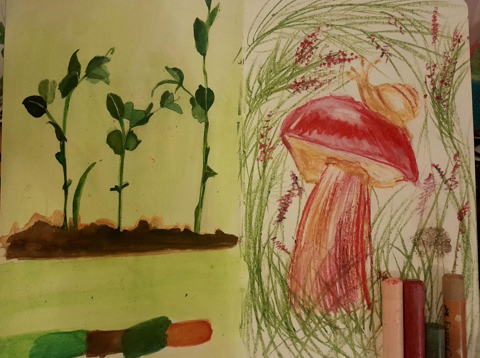 Number 17: create a colour palette for your work - image 1 - student project