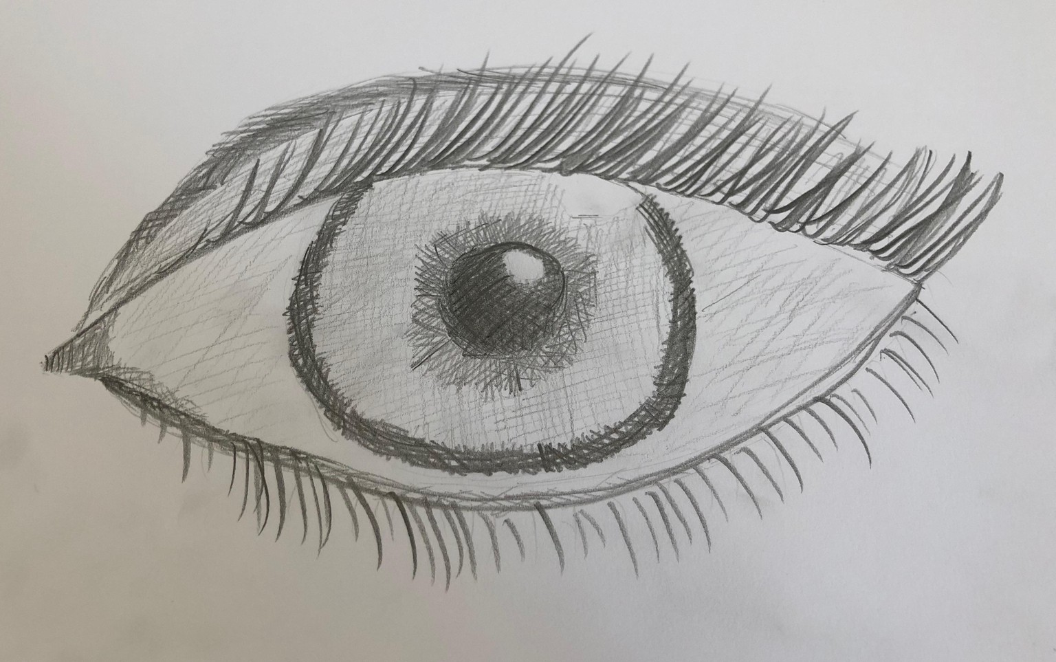 Creative Shading Project - image 3 - student project