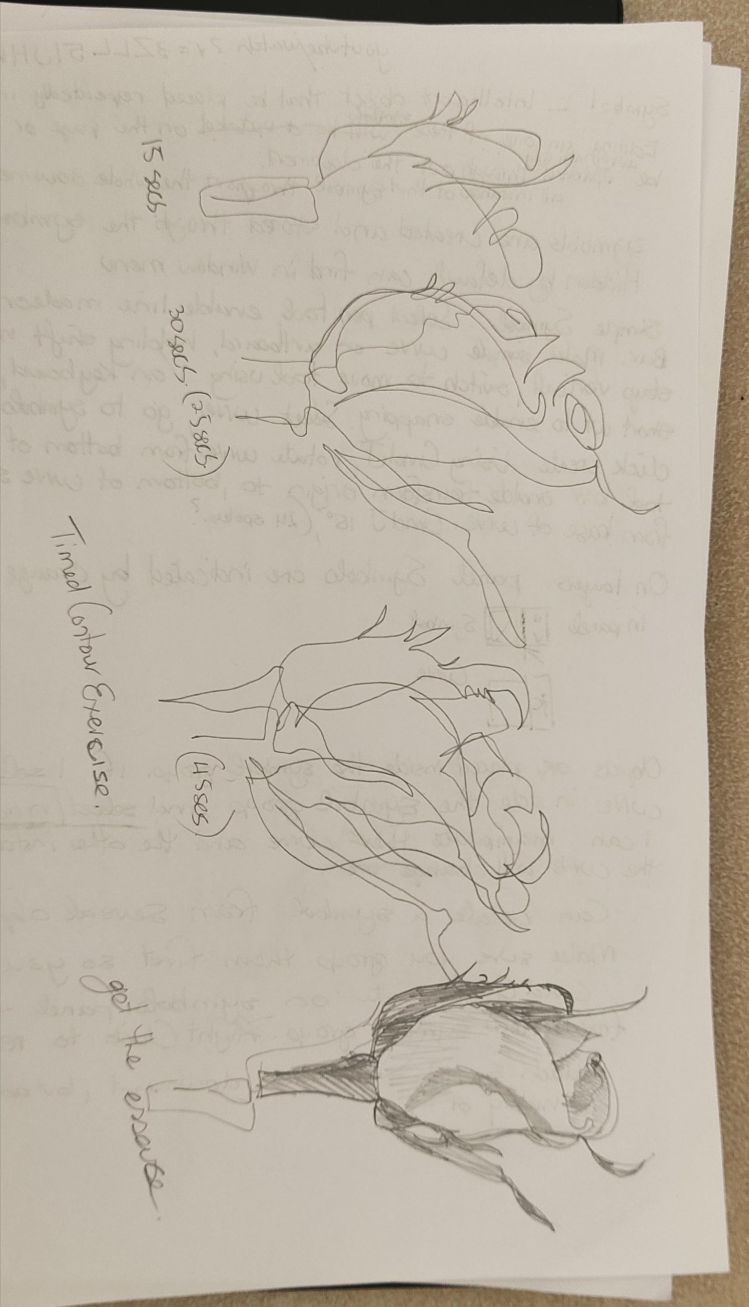 Timed Sketches - image 1 - student project