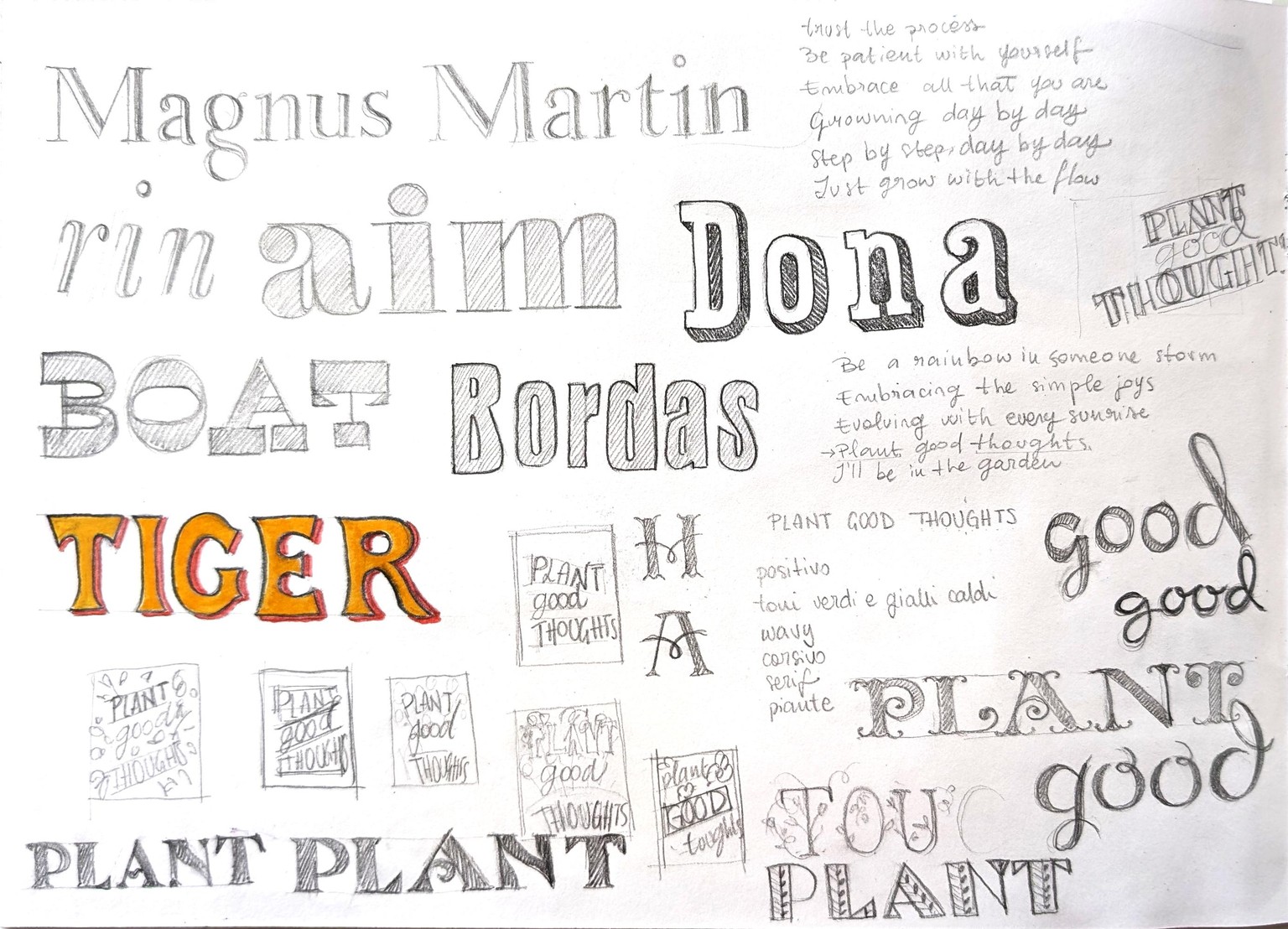 My first (complete) lettering project - image 1 - student project