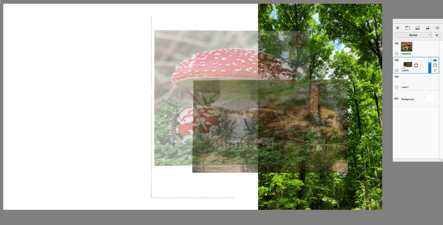 Woodland mushroom house - image 1 - student project