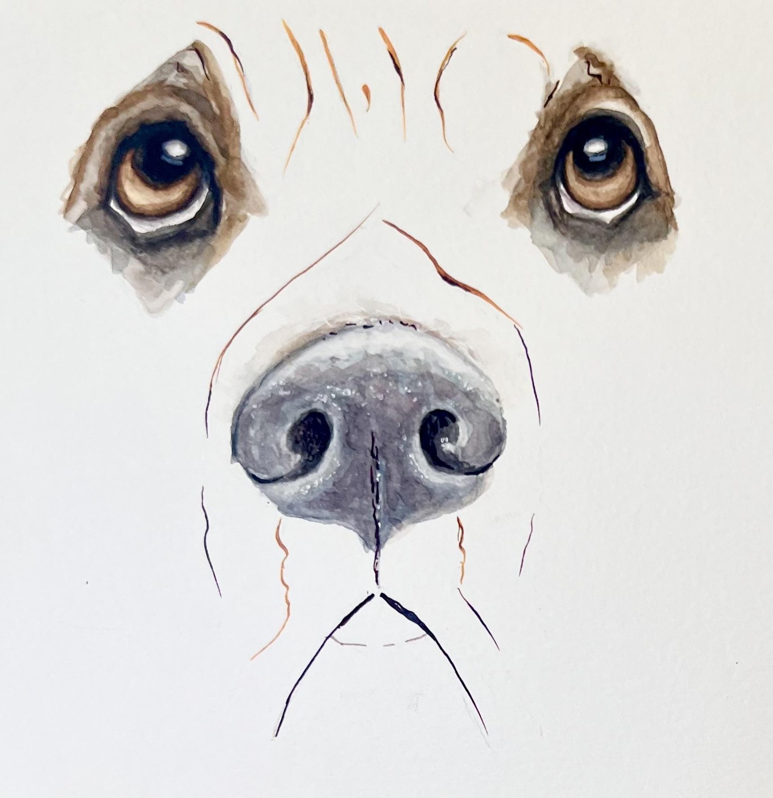 Let's Paint Dogs Eyes - image 1 - student project