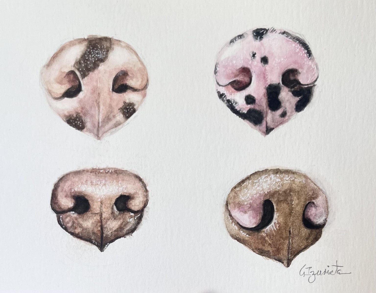 Let's Paint Dogs Noses - image 1 - student project