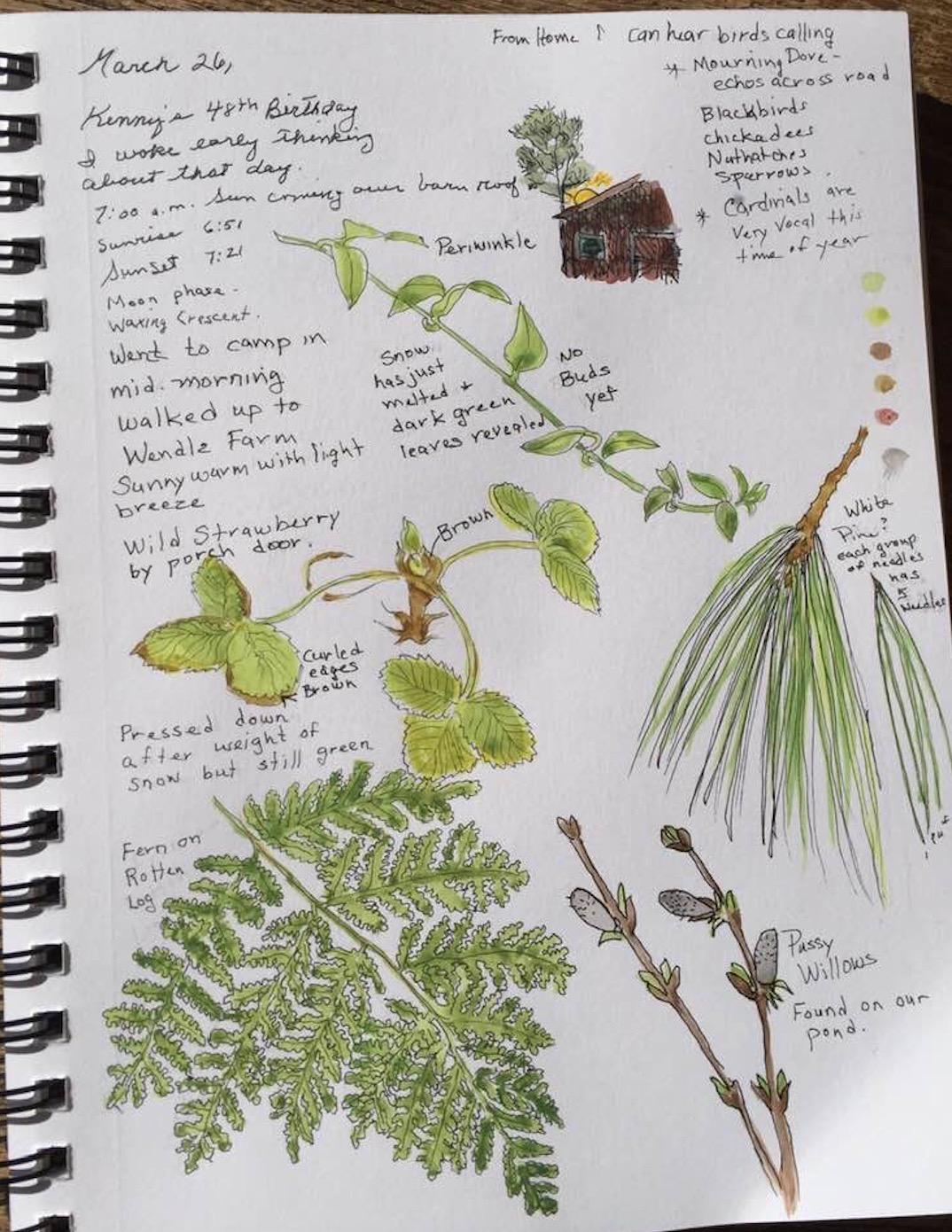 Page from my journal - image 1 - student project