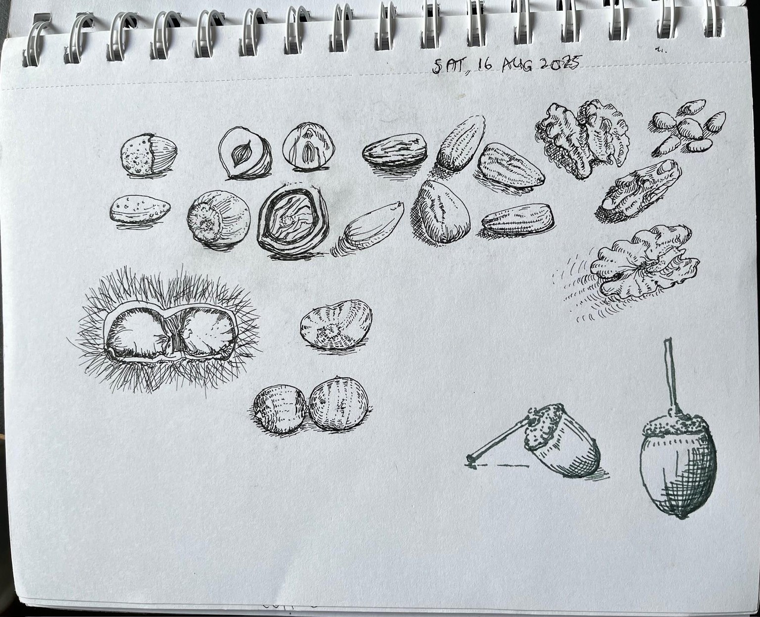 Fruits and veg - image 1 - student project