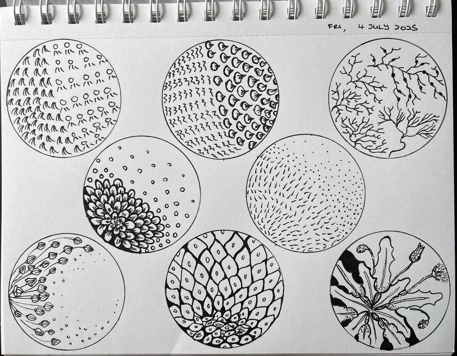 Botany through a scope - image 4 - student project