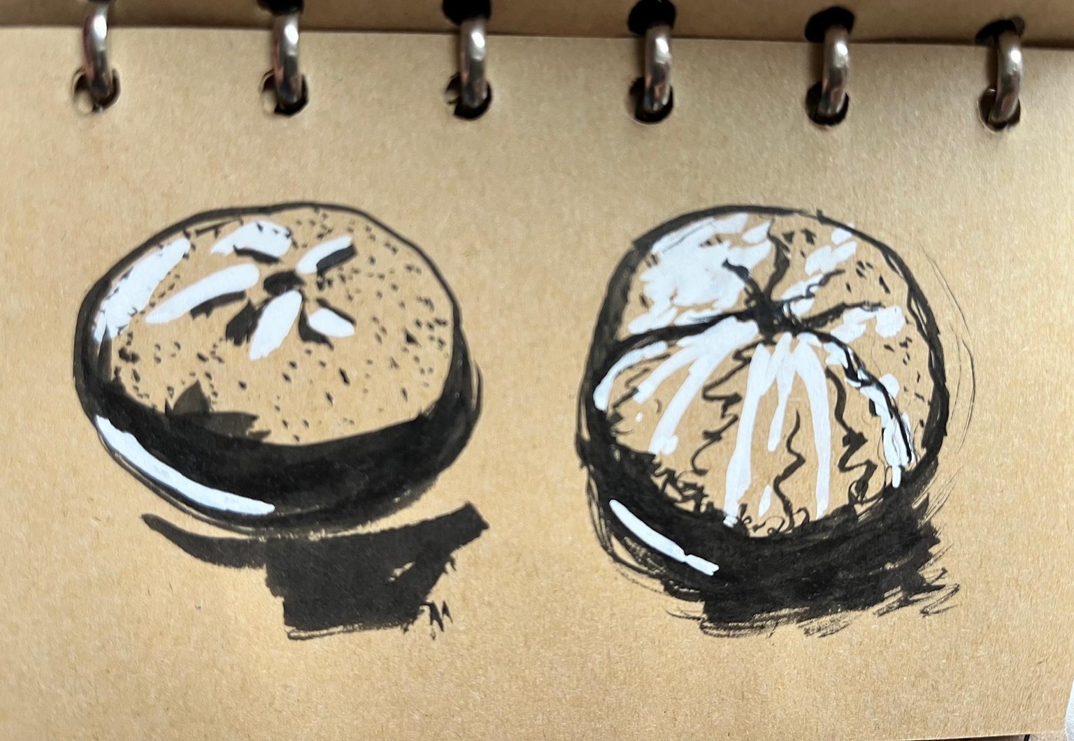 fun tonal - image 3 - student project