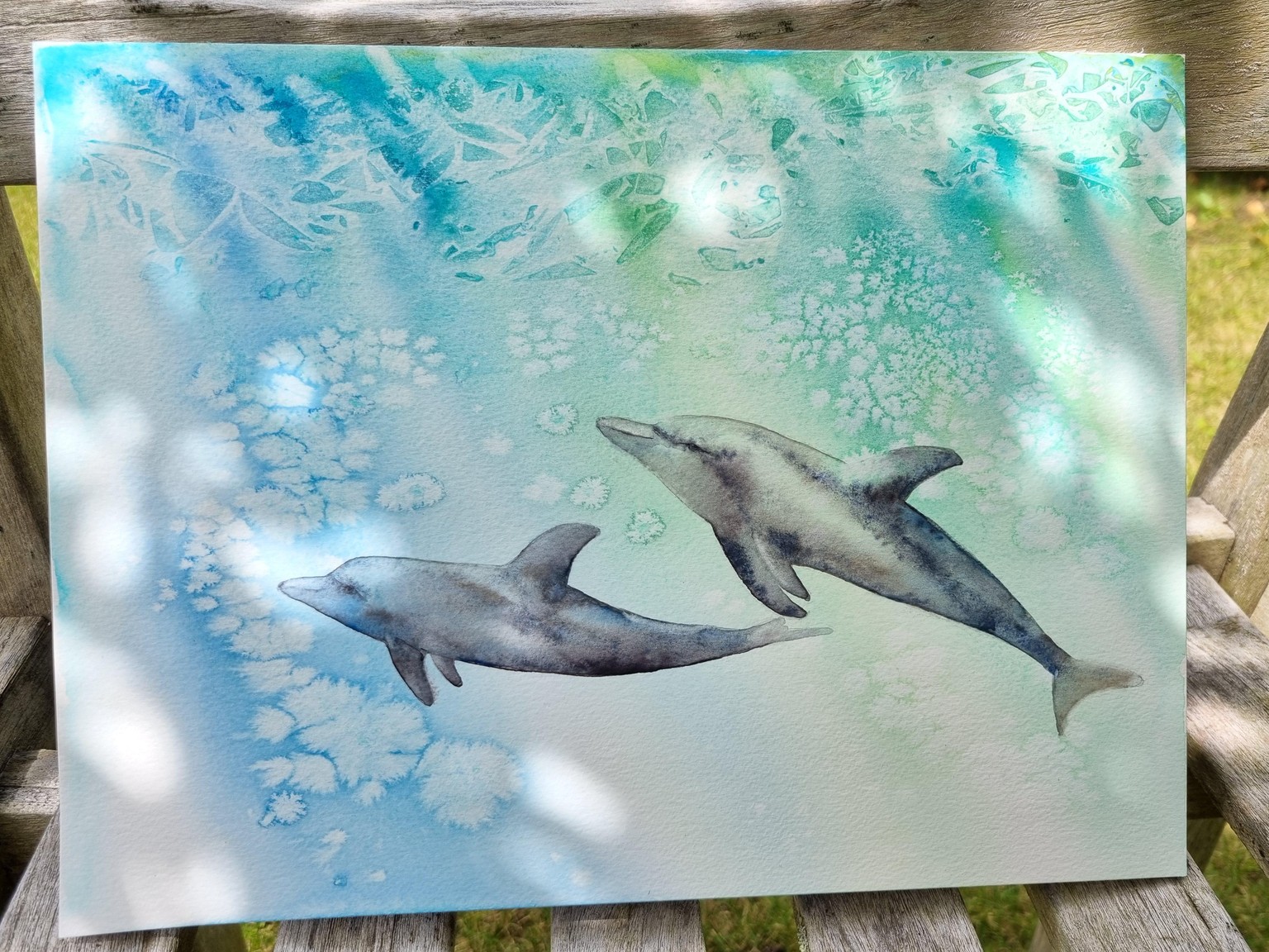 Dolphins - image 1 - student project
